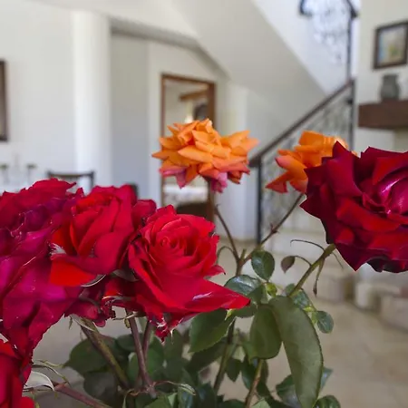 Theodora Villa